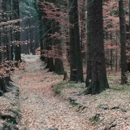 Podgorze 21 * Sklářská Poruba