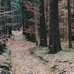 Podgorze 21 * Szklarska Poręba