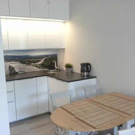 Apartmán Apartament Podgorze 21 *