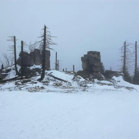 Апартаменты Podgorze 21