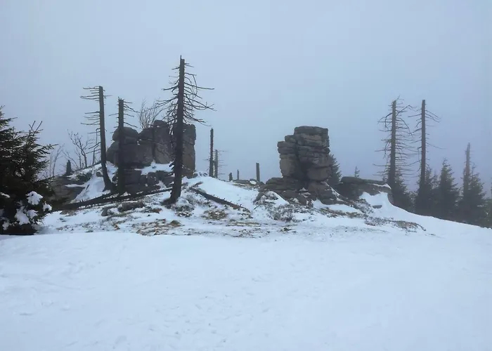 Апартаменты Podgorze 21