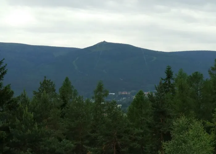 Апартаменты Podgorze 21